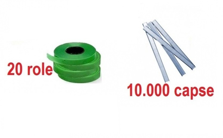 20 de role + 10.000 capse